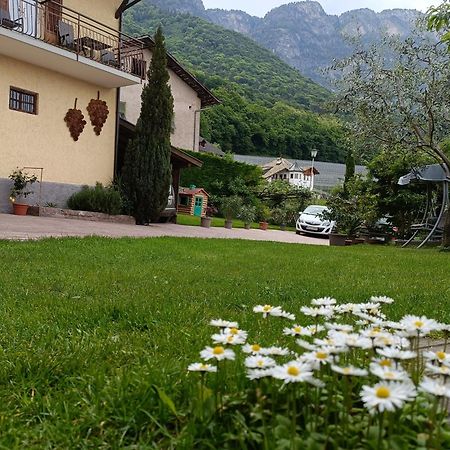 Ferienwohnungen Luggin Caldaro Exteriér fotografie